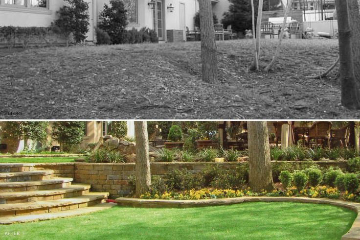 Плодовый сад до